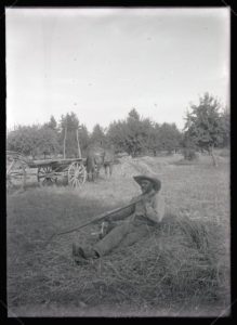 Bill Jennings loading hay (1909-07-29)