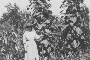 Dora Roethe 1919